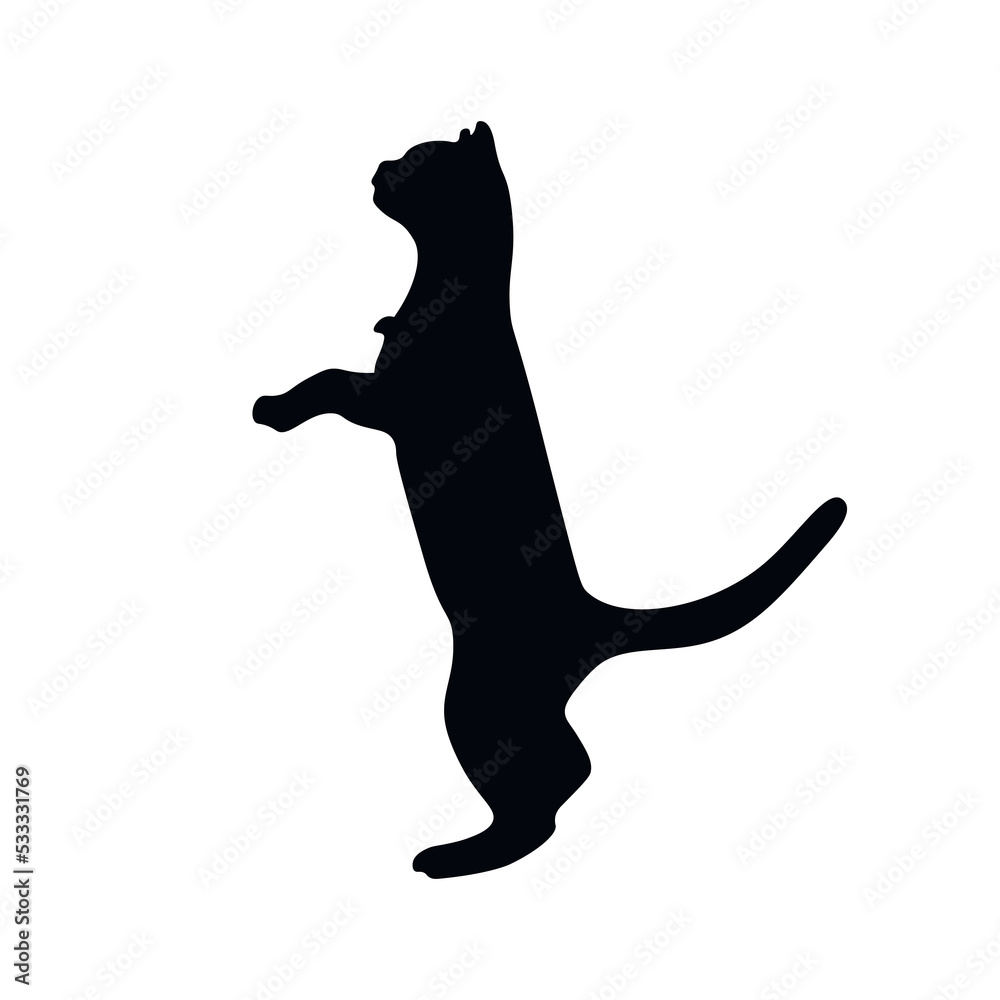 silhouette of a cat jumping