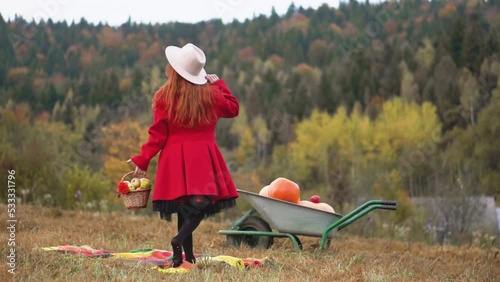 Redhead woman in red and autumn Thanksgiving still life with plaid, pumpkins and apples. A girl in orange rests in nature with a dog. Autumn weekend idea, bachelorette party, date night, harvest day. photo