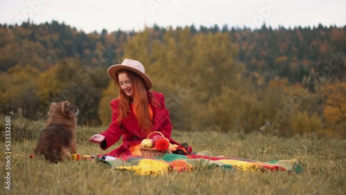 Redhead woman in red and autumn Thanksgiving still life with plaid, pumpkins and apples. A girl in orange rests in nature with a dog. Autumn weekend idea, bachelorette party, date night, harvest day. photo