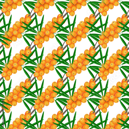 Seamless floral pattern, hand drawn, vector. Autumn pattern, sea buckthorn berries, white background.