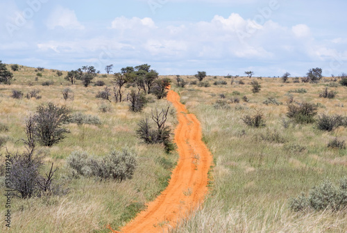 Kalahari Landscape