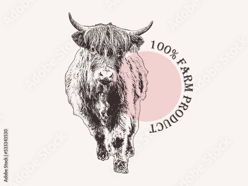 Vector illustration yak animal engraving organic product farm animal label sticker. Organic yak meat