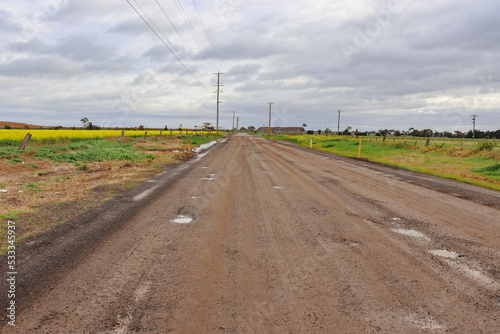 dirt road after rain through canola fields