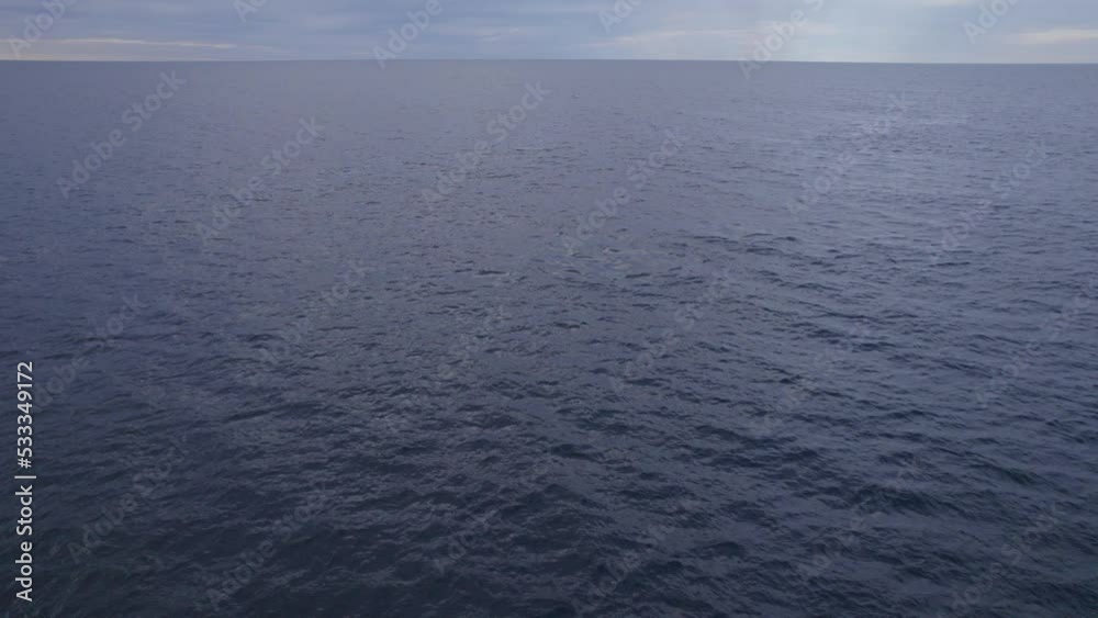 Humpback Whales Swimming In The Open Blue Sea At Sunrise In Australia. - aerial Humpback Whales Swimming In The Open Blue Sea At Sunrise In Australia. - aerial