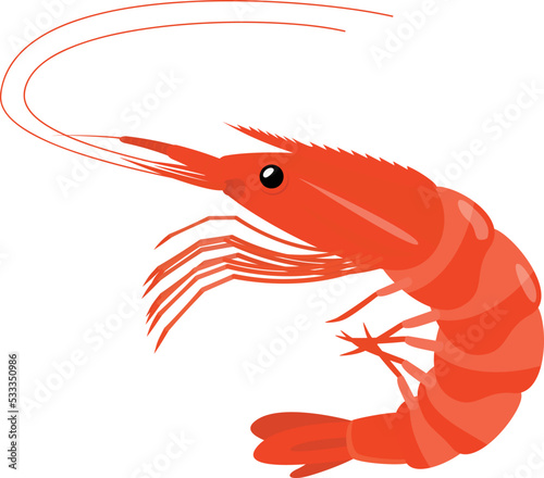 立体感のある美味しそうな赤い海老 ベクターイラスト素材