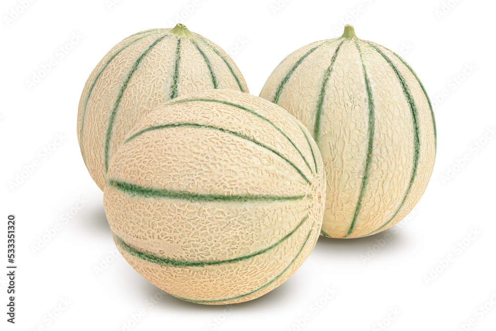 Cantaloupe melon isolated on white background with full depth of field Cantaloupe melon isolated on white background with full depth of field