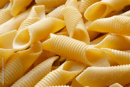 group of short durum wheat pasta
