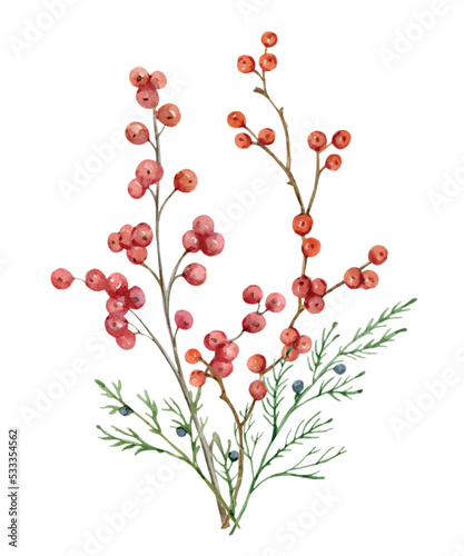 Watercolor Christmas vector bouquet with spruce branch and holly berry branches.