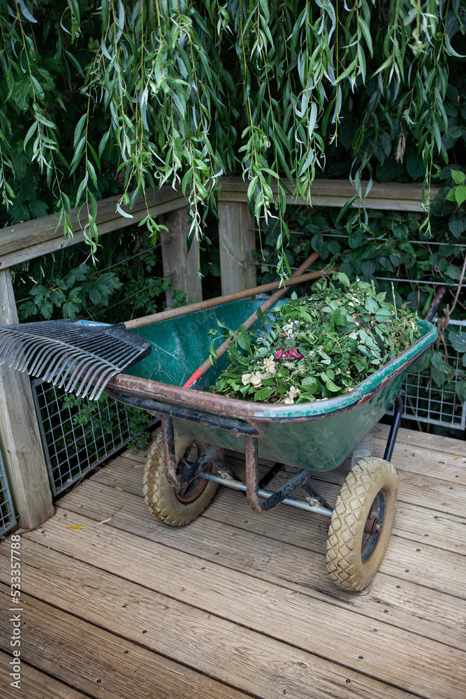 Green waste in a wheelbarrow and gardener tools