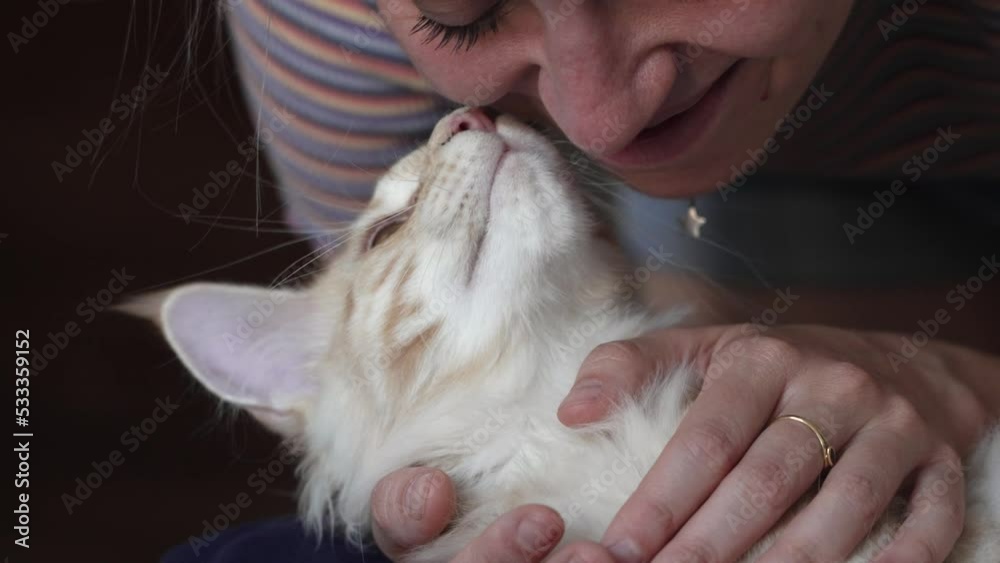 Little kitten and its owner kiss and play. Maine Coon kitten is kissed and plays with the necklace. Close up of woman feeling love for her pet of hers. Love for animals and sweetness. Slow motion 4k. Little kitten and its owner kiss and play. Maine Coon kitten is kissed and plays with the necklace. Close up of woman feeling love for her pet of hers. Love for animals and sweetness. Slow motion 4k.