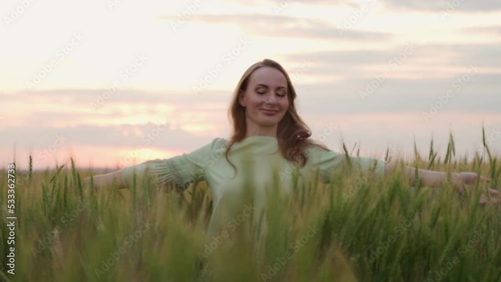 Young woman walks through a wheat field and inspects wheat ears. Young woman walks through a wheat field and inspects wheat ears.