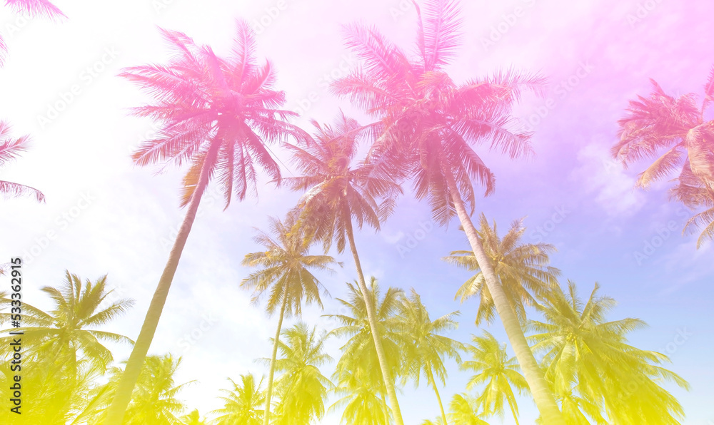 The banner of Summer colorful theme with palm trees background as texture frame image background