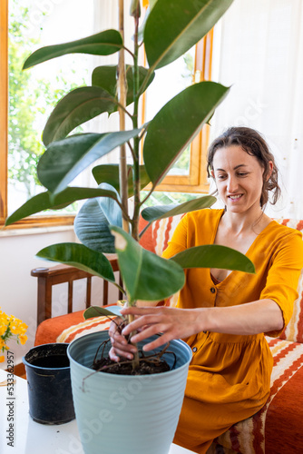 A woman is replanting a home plant