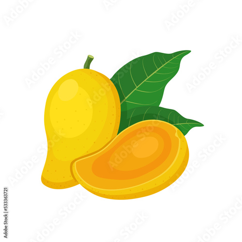 Vector illustration, ripe mango fruit with slices, isolated on white background.