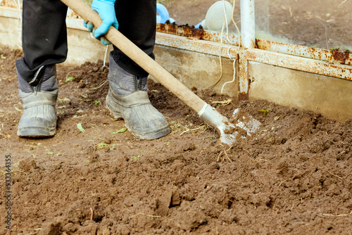 Digging up the earth with a shovel in a greenhouse. Garden work