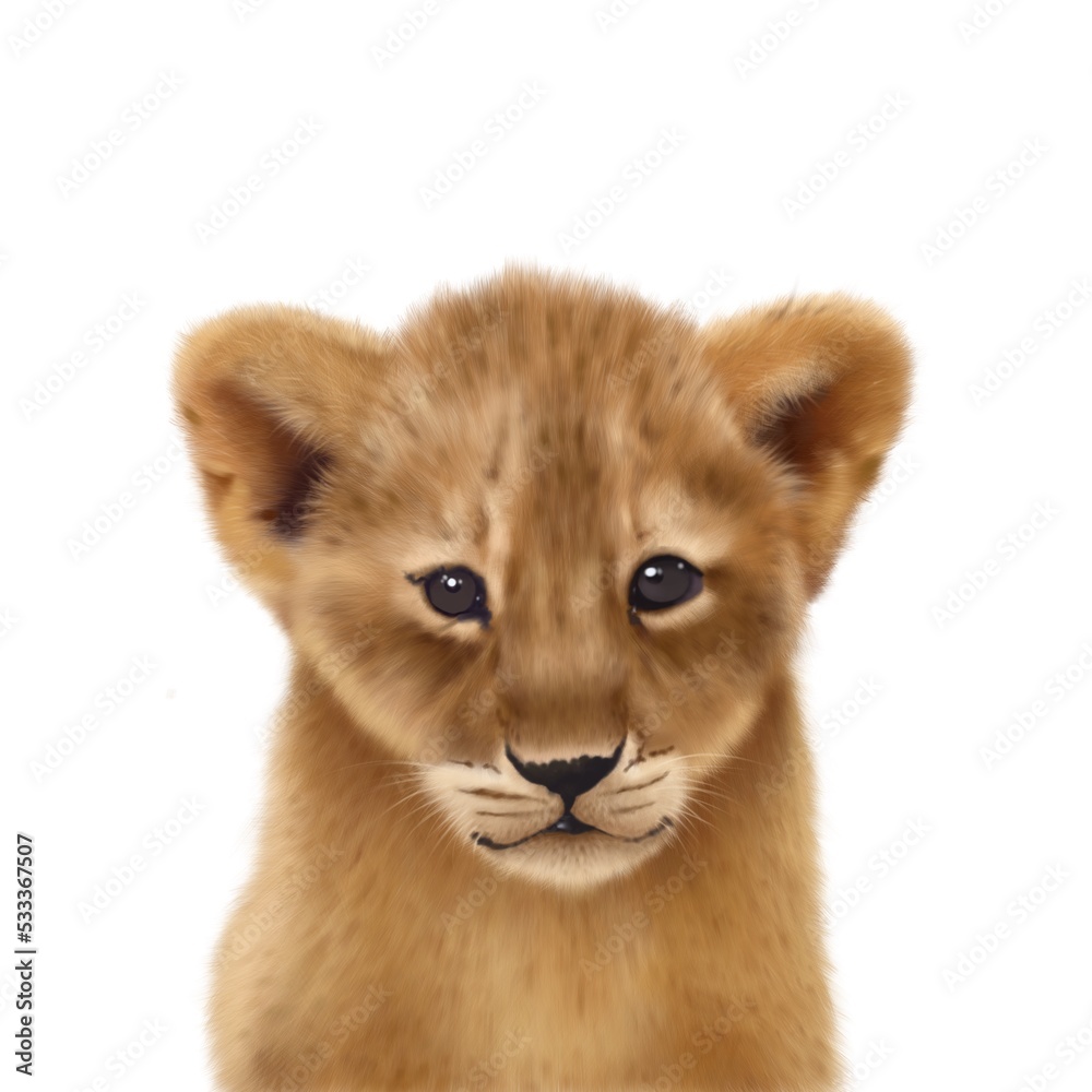 Baby lion cub cute illustrated portrait isolated on a while background