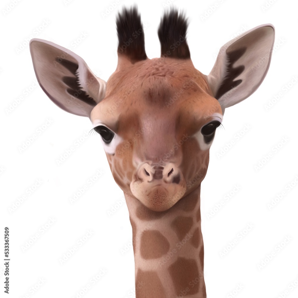 Fototapeta premium Baby giraffe cute illustrated portrait isolated on a while background