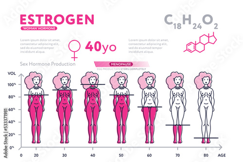 Flat design of infographic diagram showing male hormone testosterone during lifetime decreasing up to age.