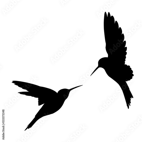 humming bird silhouette eps format vector illustration on a white background eps format