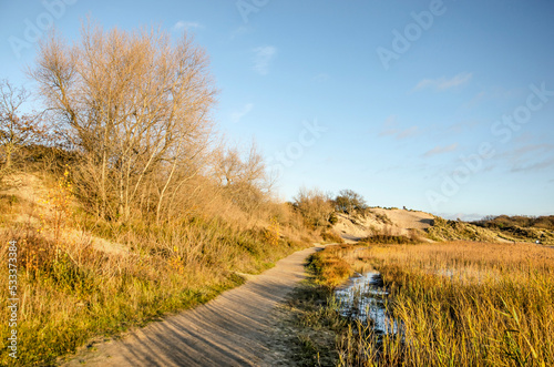 Sandpath through the dunes near Haarlem, The Netherlands on a sunny day during the golden hour