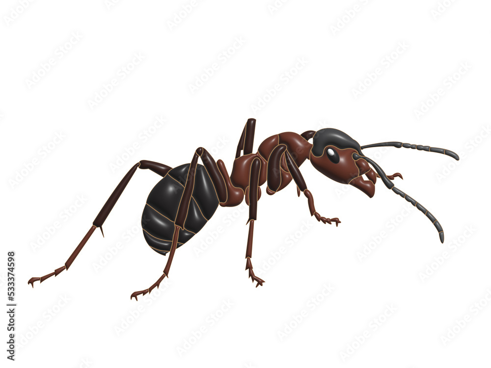 ants in transparent background image ants in transparent background image