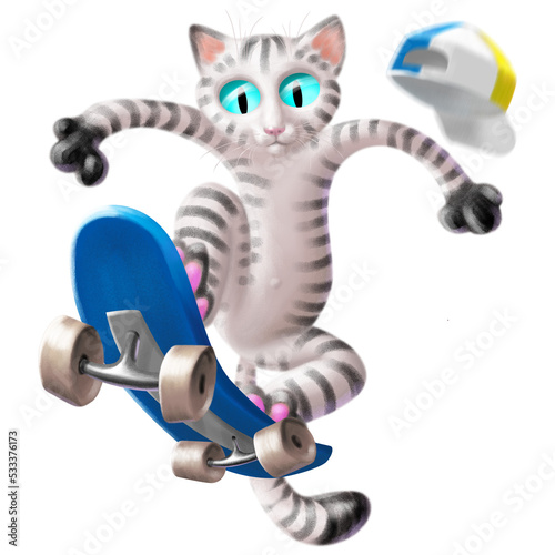 gatto sullo skateboard photo