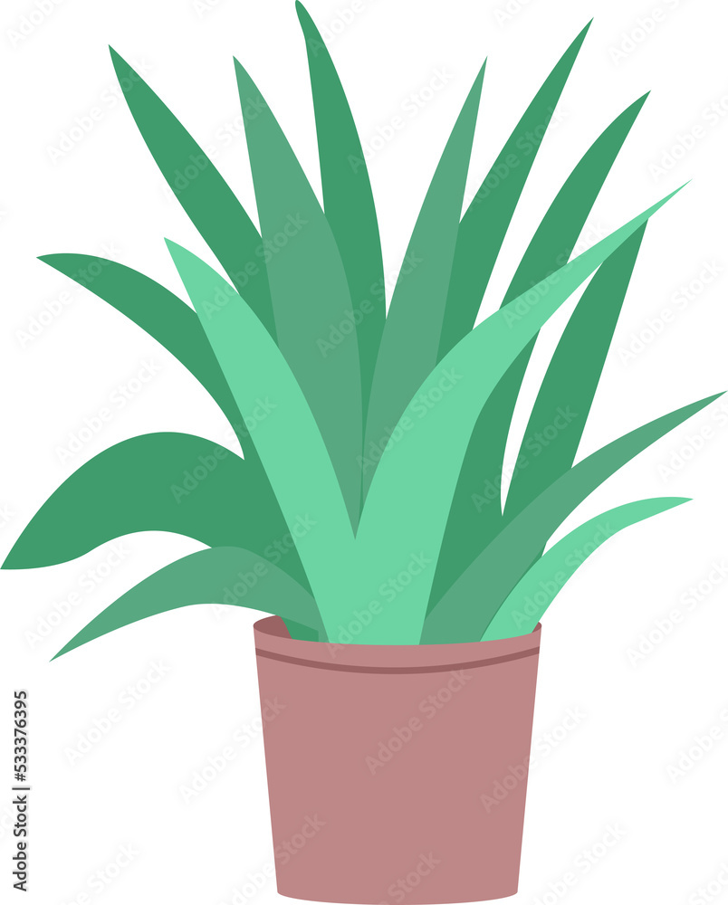 Green ficus in pot semi flat color raster object. Realistic item on white. Indoor houseplant for home and office isolated modern cartoon style illustration for graphic design and animation Green ficus in pot semi flat color raster object. Realistic item on white. Indoor houseplant for home and office isolated modern cartoon style illustration for graphic design and animation