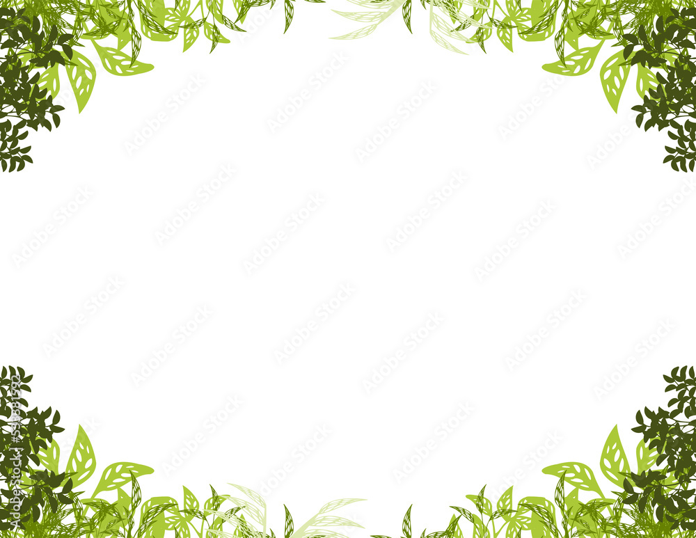floral frame floral frame