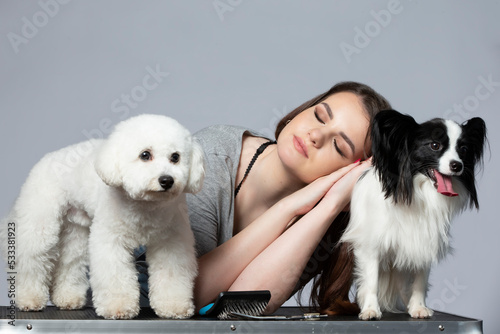 Groomer girl posing sleeping or tired with her pets bichon and papillon Fototapet