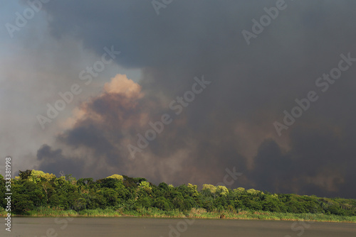 burning rainforest, sepik river, Papua New Guinea photo