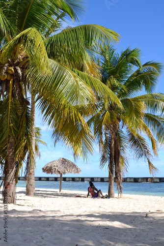 Cuba, Cayo Levisa, 8 aout 2014 : Plage de sable blanc avec palmier, une personne assise à l'ombre, ciel bleu photo