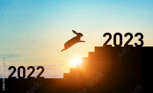 Fotografija 2022から2023へ階段を駆け上がるウサギ　2023年年賀状素材