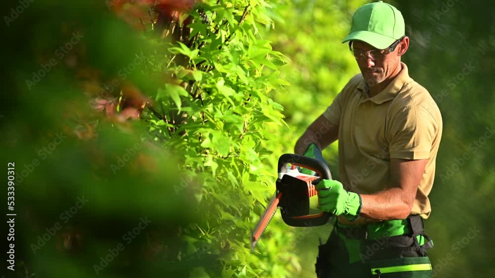 Caucasian Garden with Professional Hedge Trimmer in His Hands. Garden Maintenance Job. Trimming Decorative Tree Branches.