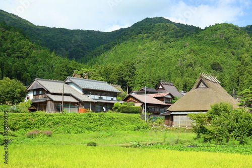 Bilde på lerret Rock, Rural area, Countryside
