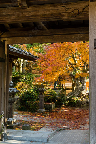 Obraz na płótnie 三田花山院(兵庫県三田市)の紅葉 w salonie