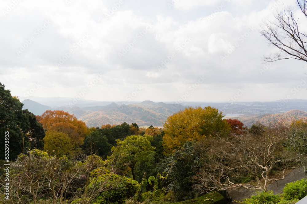 三田花山院(兵庫県三田市)の紅葉