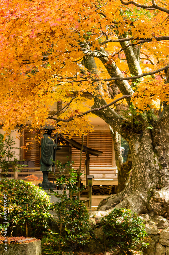 三田花山院(兵庫県三田市)の紅葉