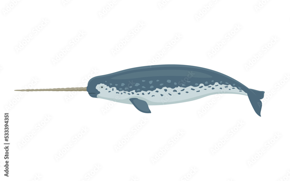 Narwhal with a horn - obrazy, fototapety, plakaty 
