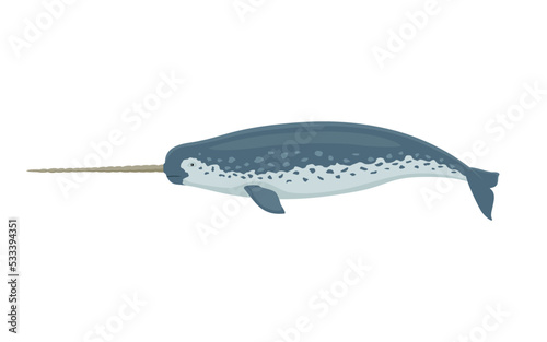 Narwhal with a horn photo
