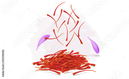 Dry saffron stamens vector illustration with saffron flower petals
