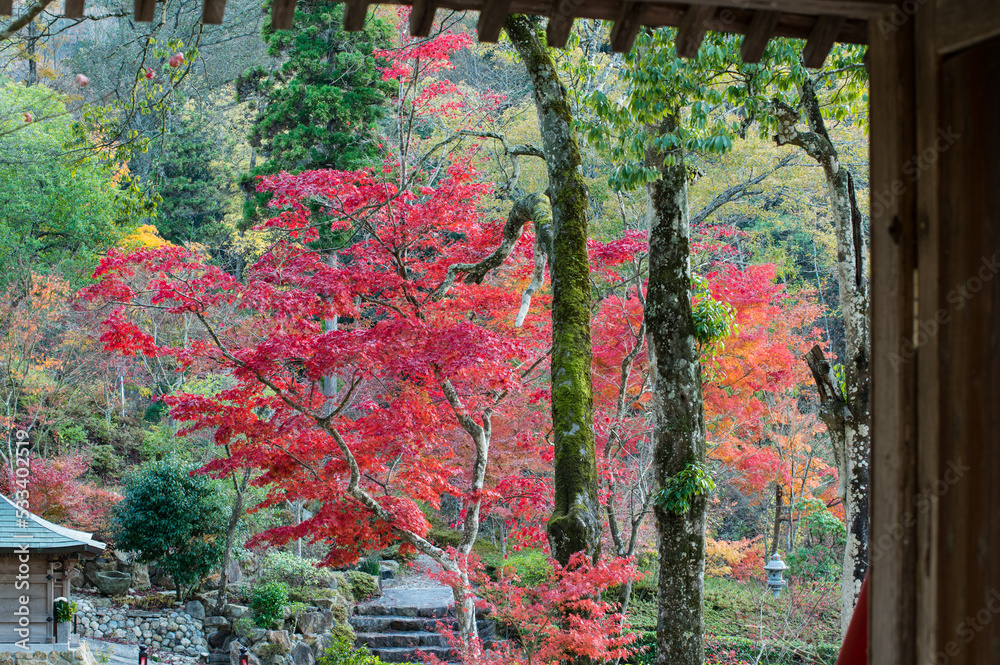 三田光明寺(兵庫県三田市)の紅葉