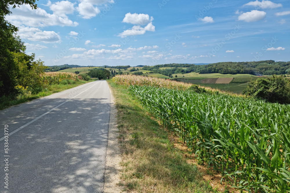 Road through scenic agricultural landscape view Road through scenic agricultural landscape view