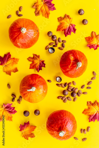 Flat lay of autumn fall iteams with pumpkins and dry leaves photo