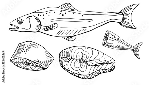 Salmon whole red fish, caviar, raw steaks and fillet realistic isolated outline vector illustration. Drawn monochrome seafood meal.