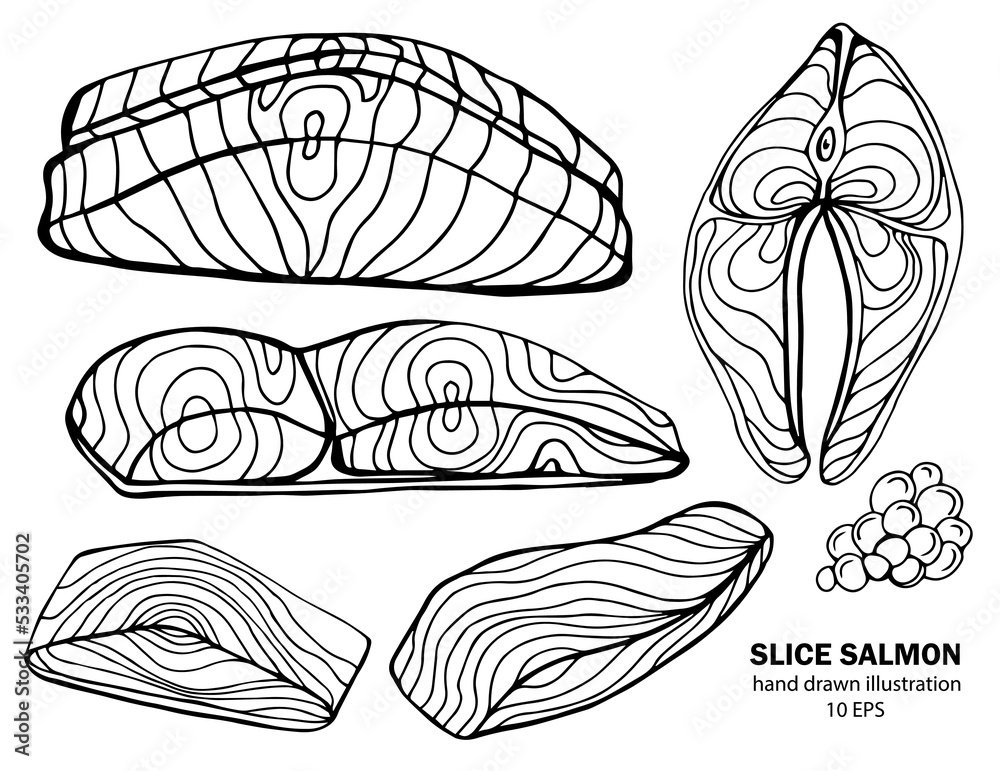 Salmon whole red fish, caviar, raw steaks and fillet realistic isolated outline vector illustration. Drawn monochrome seafood meal. Salmon whole red fish, caviar, raw steaks and fillet realistic isolated outline vector illustration. Drawn monochrome seafood meal.
