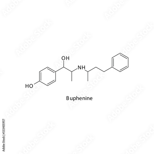 Buphenine  molecule flat skeletal structure, beta agonist used in asthma, COPD Vector illustration on white background.