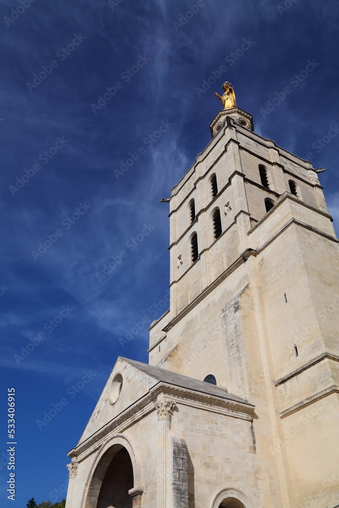 Obraz premium France - Avignon Cathedral