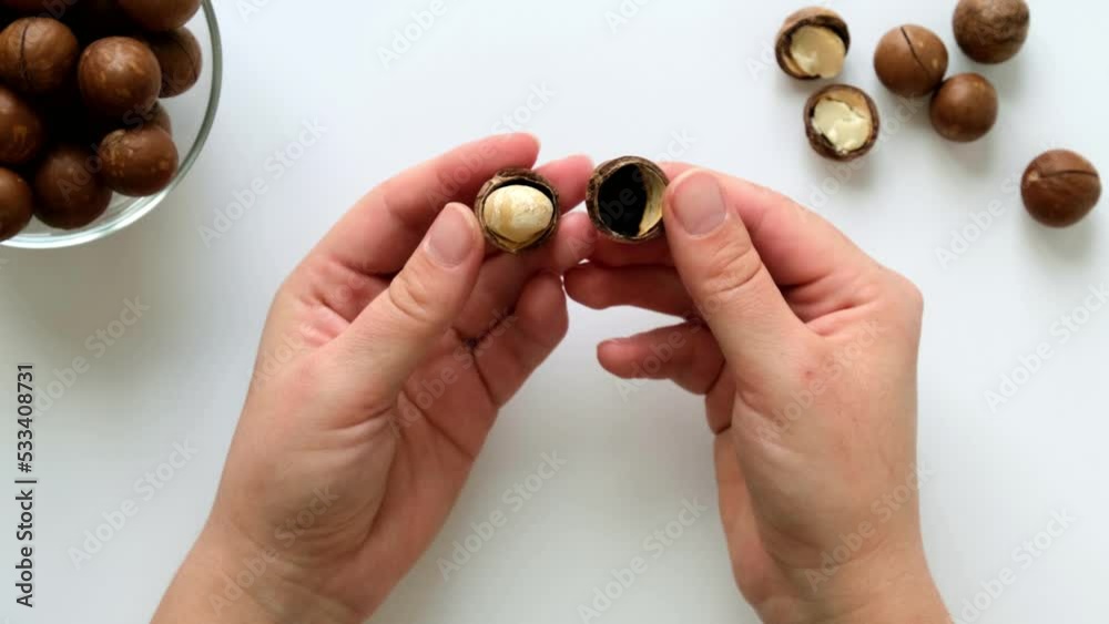 Female hands open macadamia nut with a metal key
