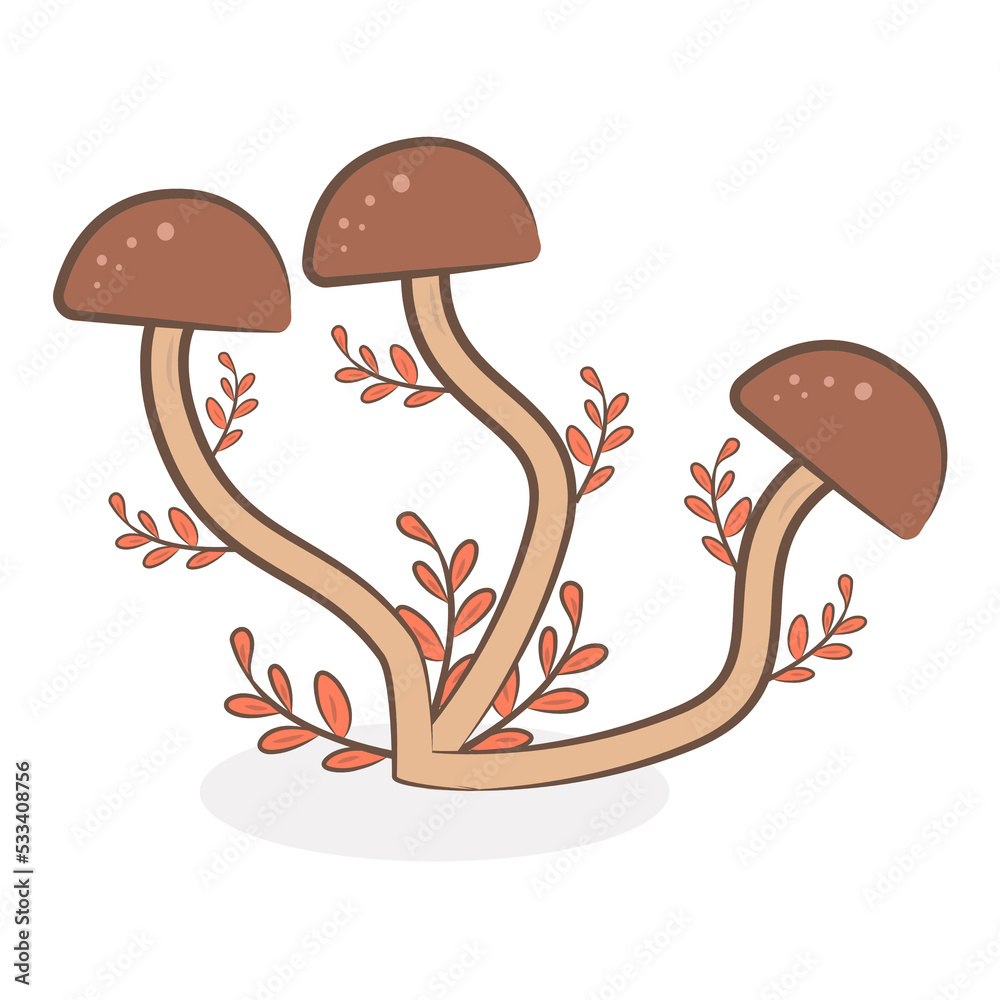 mushroom mushroom