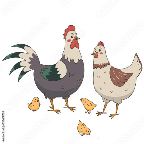 Rooster cock with hen and chicks isolated on white